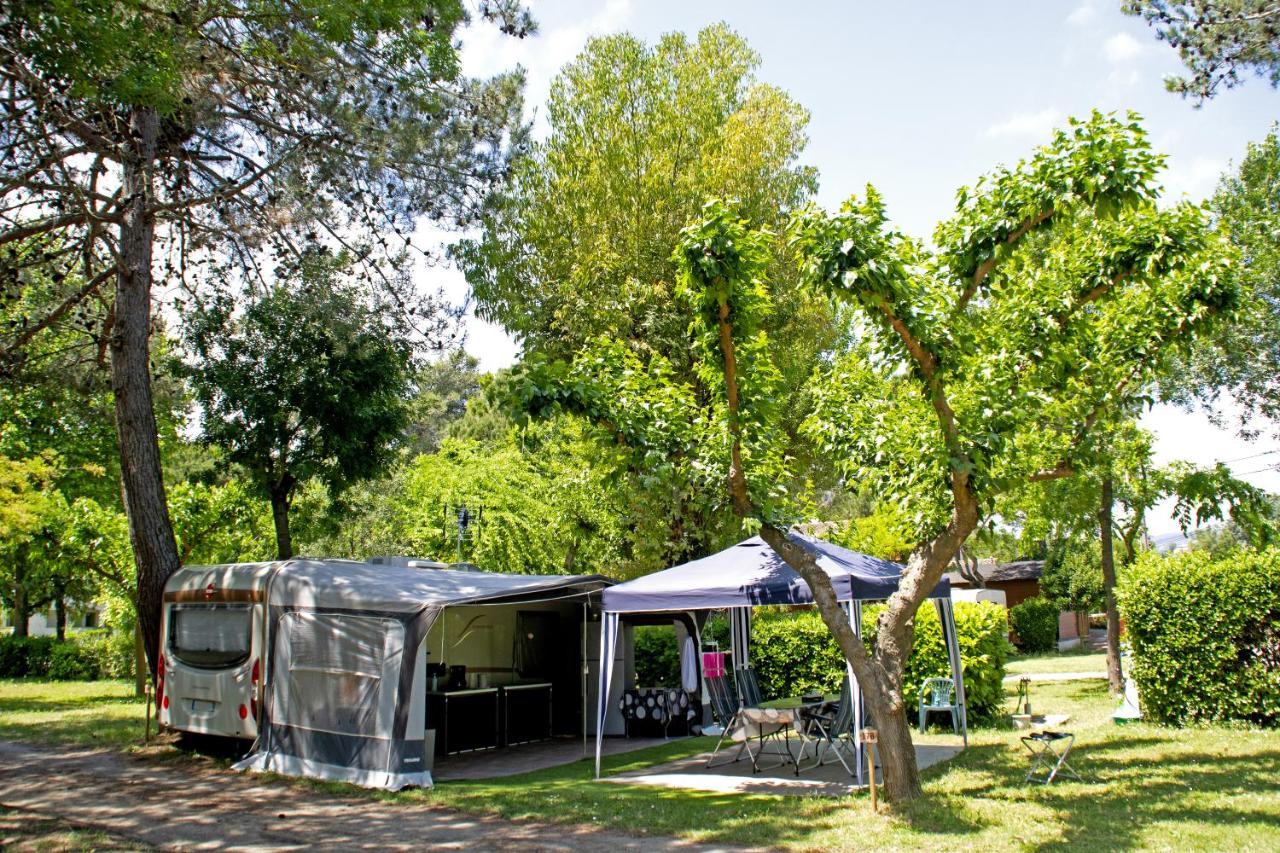 Camping Les Mimosas Hotel Pégomas Exterior foto
